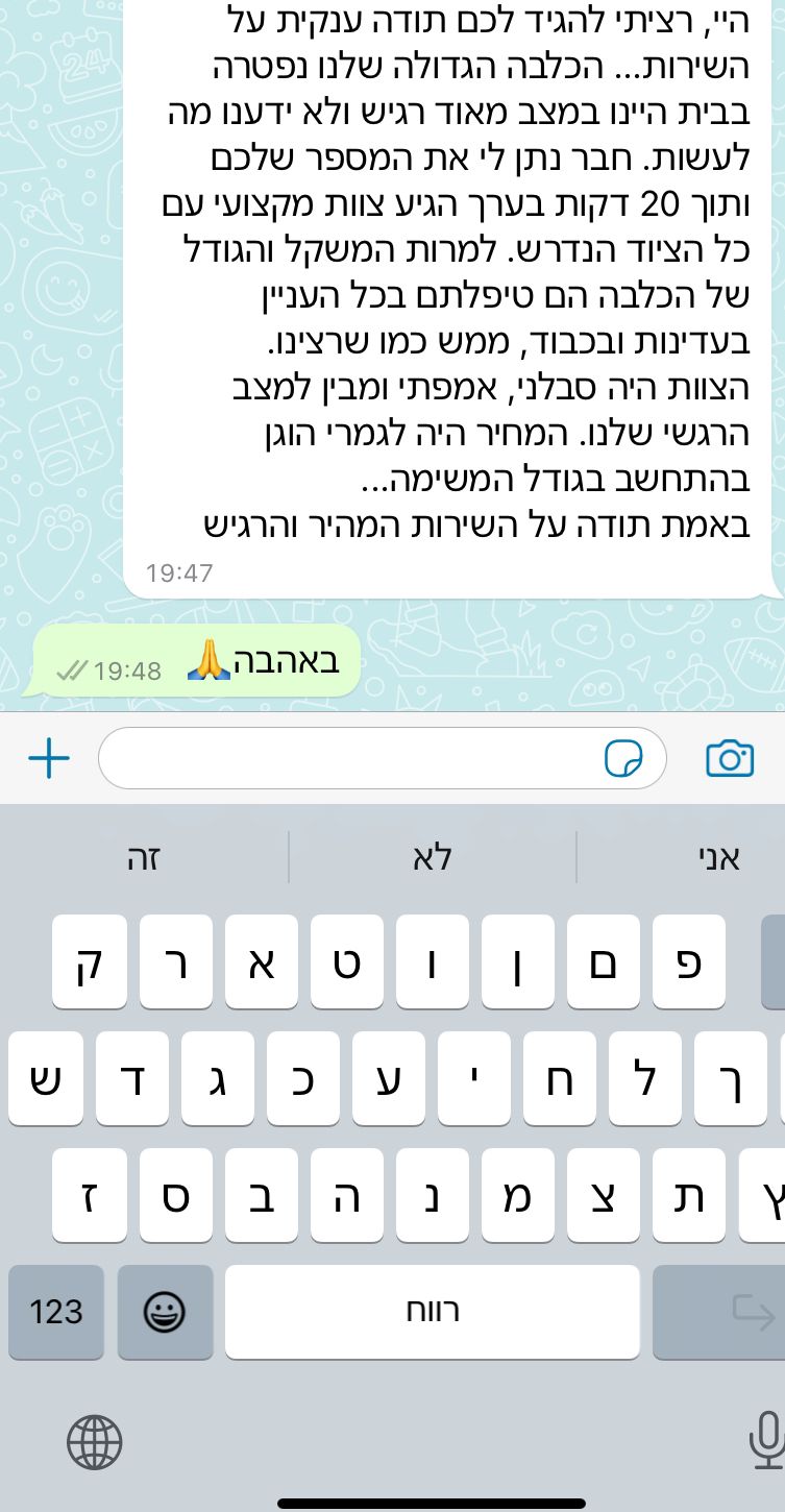 חוות דעת על שירות פינוי כלב מת